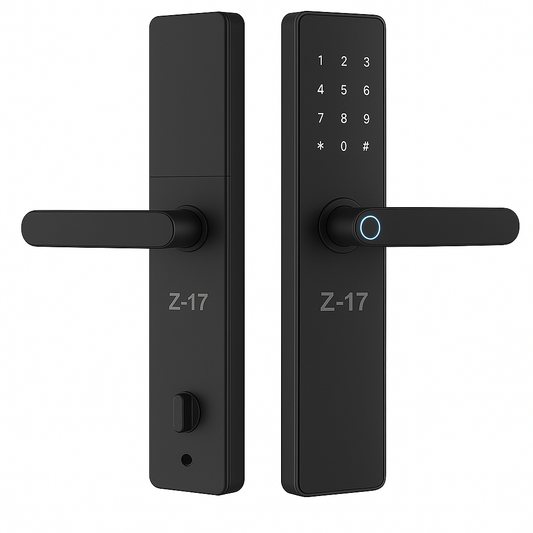 CDO Z17 Smart Door Secure System